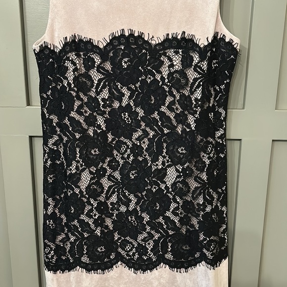 Calvin Klein Lace & Faux Suede Microsuede Dress Sleeveless Career Dress Size 4 - Picture 8 of 14